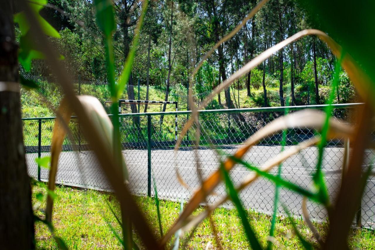 Farm stay Rural Quinta Do Juncal