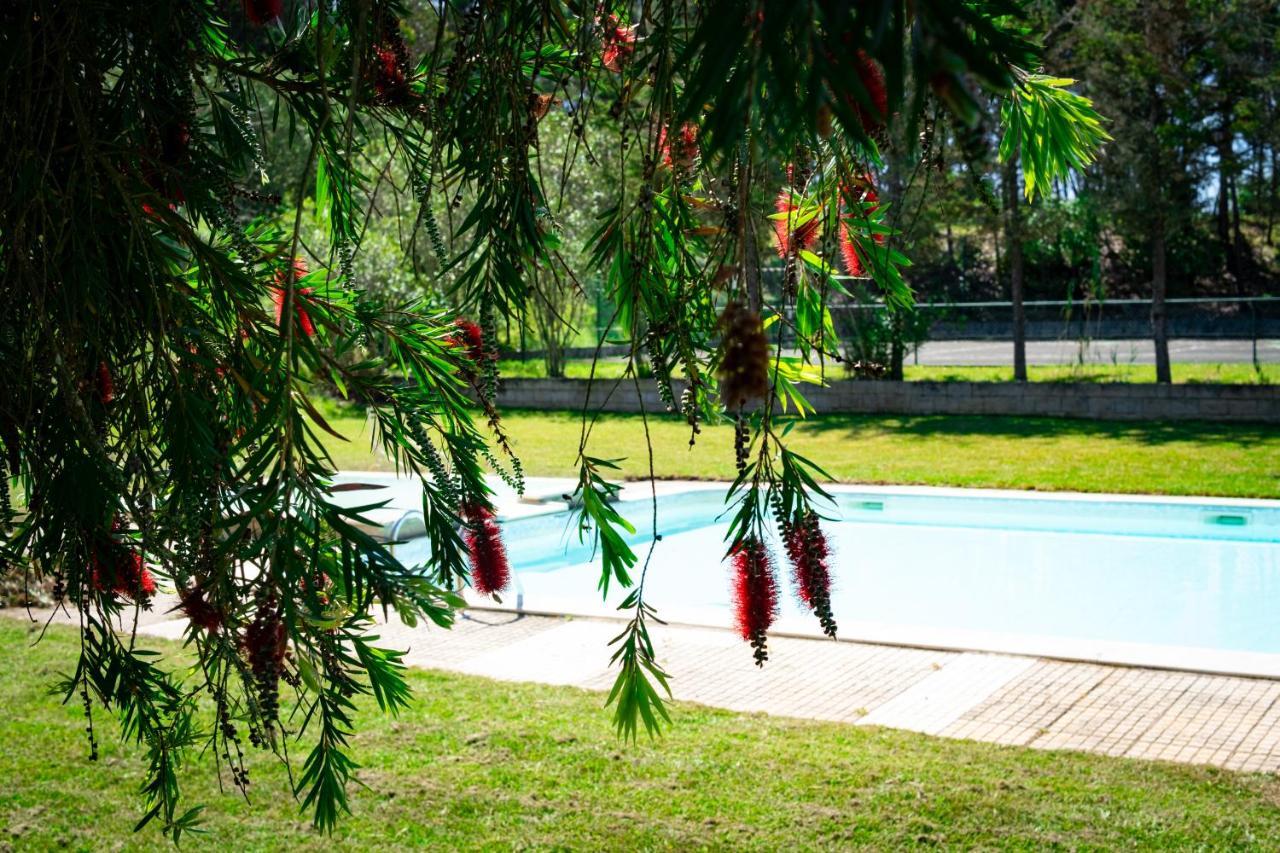 Rural Quinta Do Juncal Farm stay