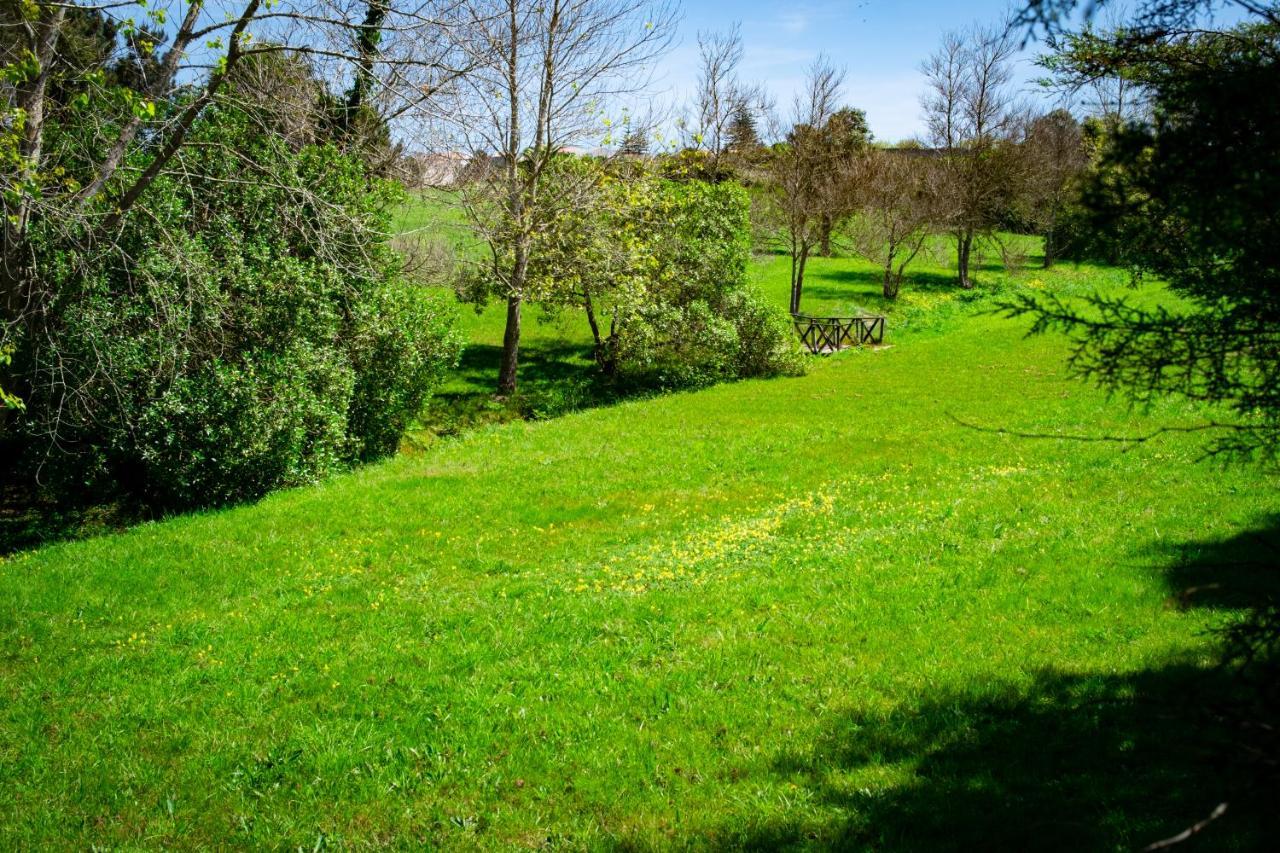 Farm stay Rural Quinta Do Juncal Serra d'El-Rei